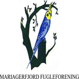 mariagerfjord_fugleforening
